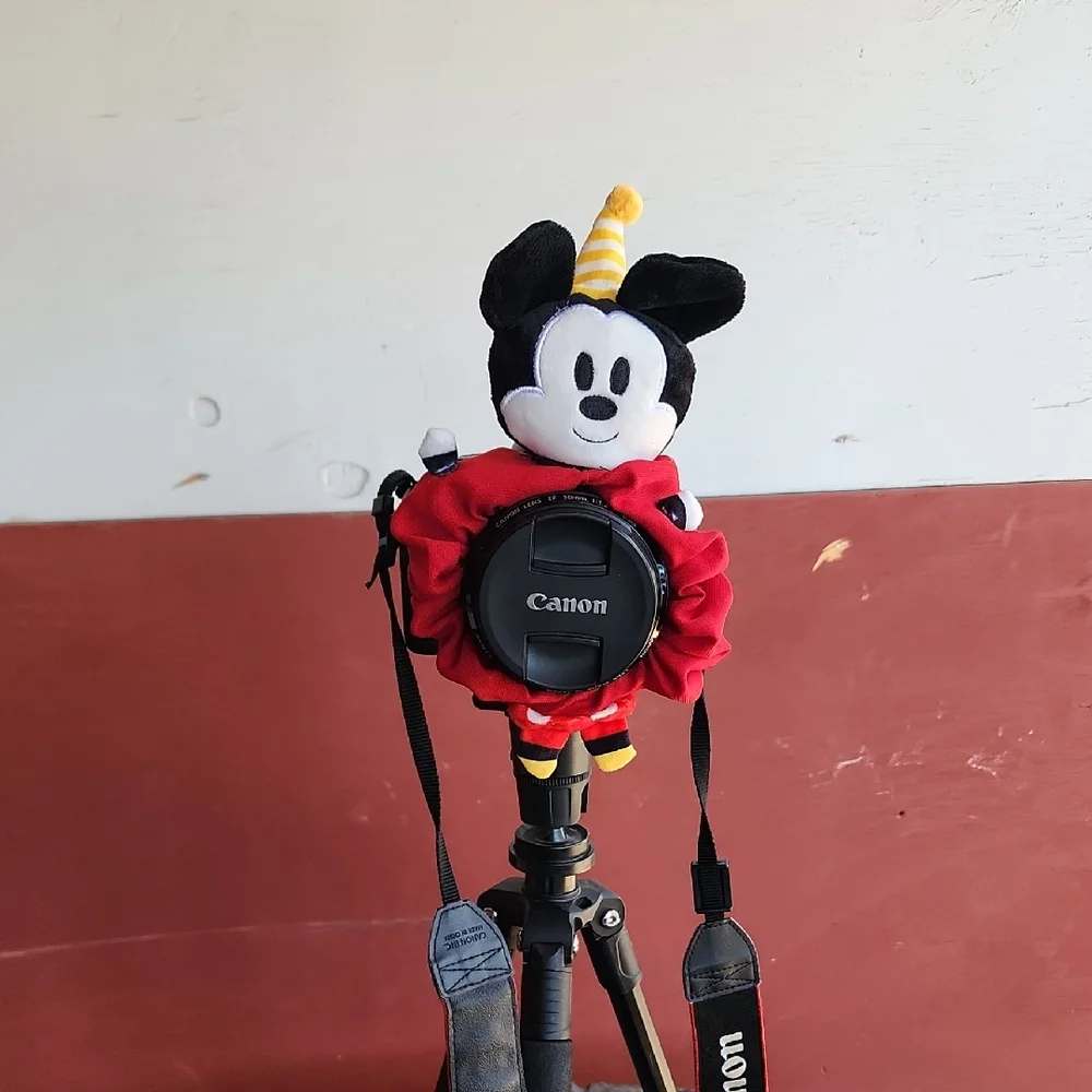 Mickey Mouse Shutter Hugger